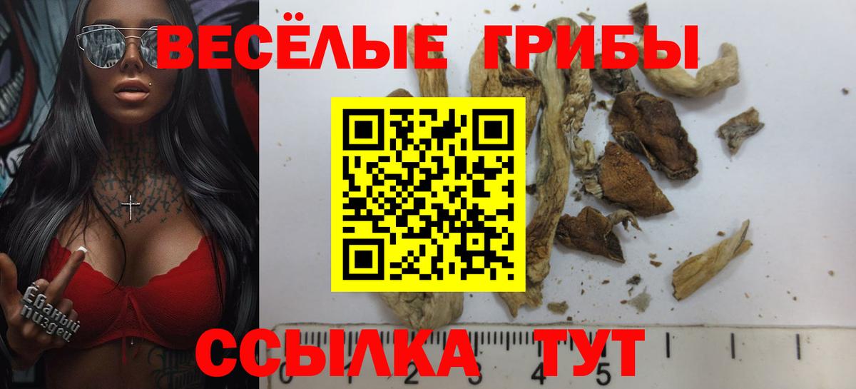 Псилоцибиновые грибы MAGIC MUSHROOMS  Псилоцибиновые грибы ЛСД  Вход с VPN  Чусовой 