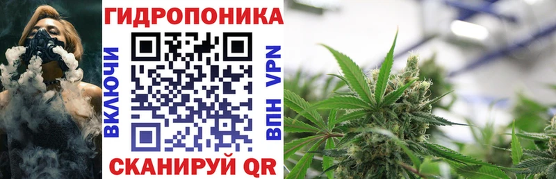 купить  цена  Чусовой  Конопля план 